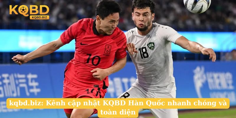 taintdc.com: Kênh cập nhật KQBD Hàn Quốc nhanh chóng và toàn diện